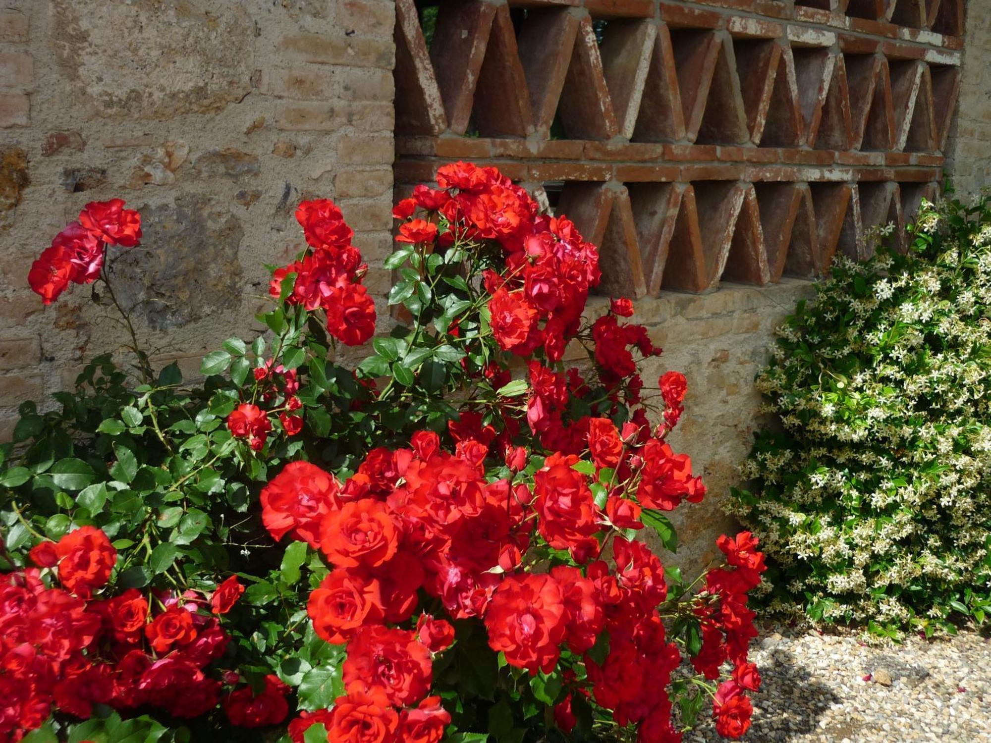 Fattoria Agriturismo Nerbona Villa Casole dʼElsa Exterior foto