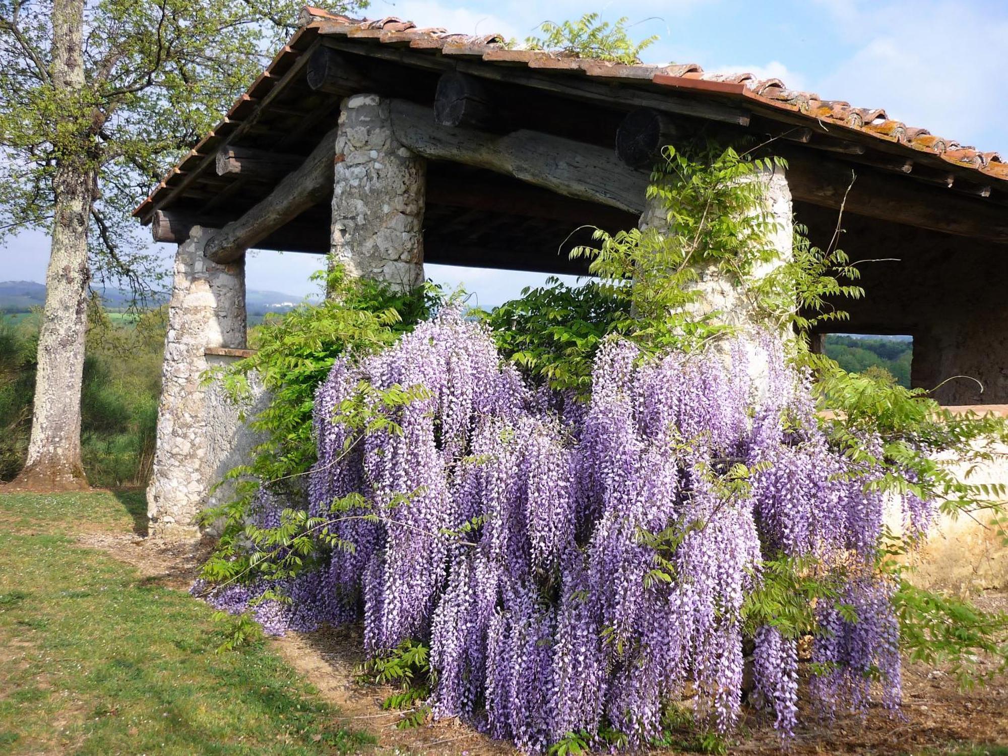 Fattoria Agriturismo Nerbona Villa Casole dʼElsa Exterior foto